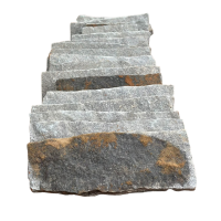 Meio Fio de Granito (1)